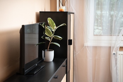 Chalupa u zmku Sobotn - CHKO Jesenky