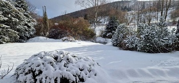 Srub bazn a sauna - Jesenky - Zlat Hory