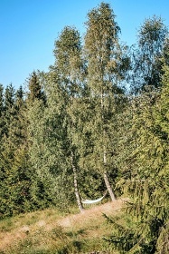 Chata na samotě s wellness - Beskydy - Jablunkov
