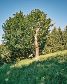 Chata na samotě - wellness a jezírko - Beskydy