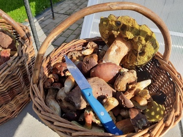 Chalupa s baz�nem - a v�hledem na Such� vrch