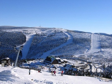 Roubenka s wellness - Hrub� Jesen�k - Jesen�ky