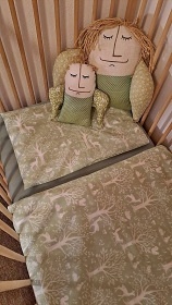 Roubenka s wellness - Hrub� Jesen�k - Jesen�ky