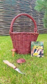 Roubenka s wellness - Hrub� Jesen�k - Jesen�ky