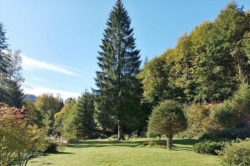 Jesenick� chalupa - v��ivka a sauna - Dlouh� Str�n�