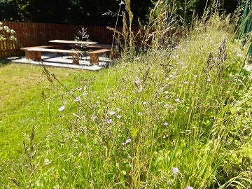 Chalupa pro d�ti a h�i�t� - term�ly Velk� Losiny