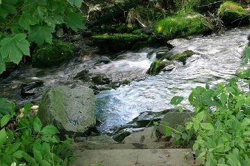 Chalupa pro d�ti a h�i�t� - term�ly Velk� Losiny