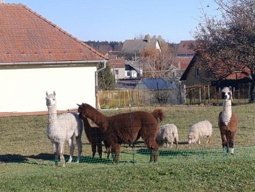 Chata Moravsk kras - Boskovice - Mal Hradisko