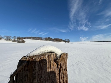 Wellness chalupa s baz�nem - �esk� �v�carsko