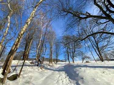 Wellness chalupa s baz�nem - �esk� �v�carsko