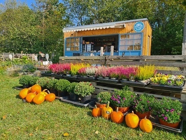 Glamping Zahrady Myšlín - Mnichovice - Říčany
