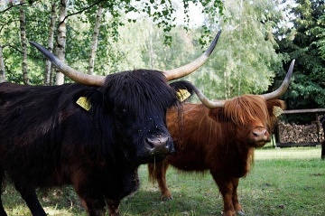 Roubenka Beskydy a koupac� sud - Pustevny