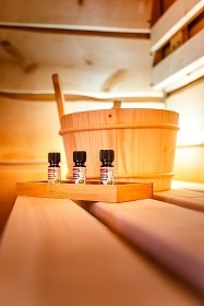 Chata s wellness Třeboňsko - Suchdol n. Lužnicí