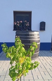 Chata vinný sklep - Pálava - Mikulov - Březí