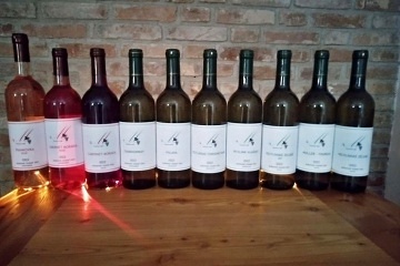 Chata vinný sklep - Pálava - Mikulov - Březí