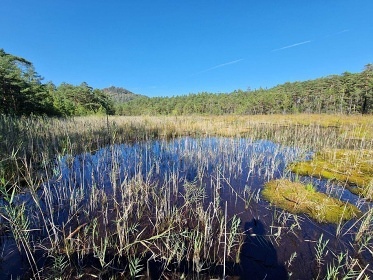 Chata U Davida 5 - Doksy - Mchovo jezero