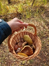 Chata u M�chova jezera - hrad Bezd�z a Houska