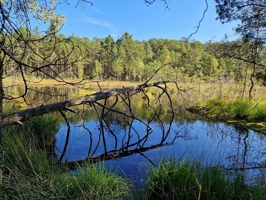 Chata U Davida 5 - Doksy - Máchovo jezero