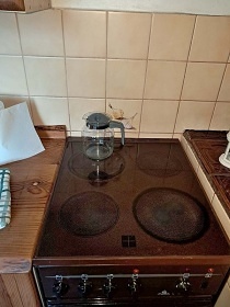 Chata samota u potoka - Vysok� Potok - Poho�elec