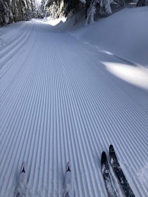 Rouben chalupa - Detn v Orlickch horch