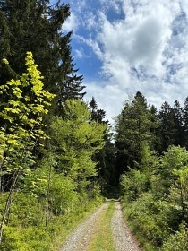 Rouben chalupa - Detn v Orlickch horch