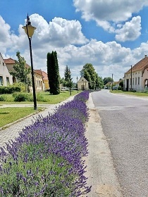 Rodinn� chalupa baz�n a wellness - ji�n� �echy