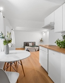Chalupa Vysoina - apartmnov studia stup
