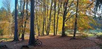 Chalupa s terasou - Toulovcovy Ma�tale - Poli�ka