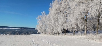 Chalupa s terasou - Toulovcovy Ma�tale - Poli�ka