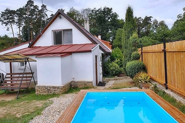 Chata s wellness a baz�nem - Jemnice - Vyso�ina