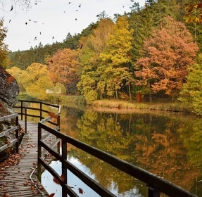 Glamping Toulava - Jurty Heřmaničky - Sedlčany