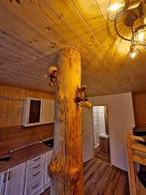 Chata s terasou - M�chovo jezero - hrad Bezd�z