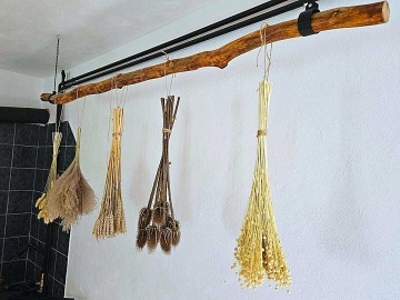 Jesenick� chalupa - jez�rko s molem - Such� vrch