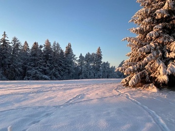 Chata se saunou �ern� hora - �ern� D�l - Krkono�e