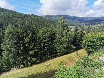 Roubenka se saunou - Pec pod Snkou - Velk pa