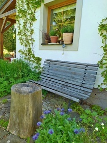 Chalupa u rybn�ka - Vyso�ina - Poles� - �irovnice