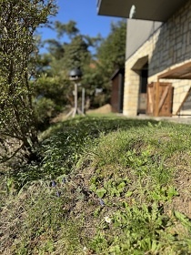 Chata Slapy s lo�kou - Nov� �ivoho�� - Vltava