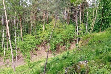 Chalupa Prachovsk� Sk�ly - �esk� r�j - Ji��nsko