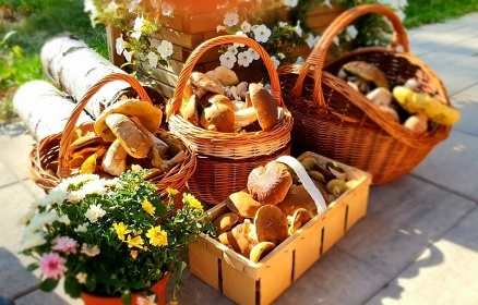 Chalupa s wellness a baz�nem - �acl�� - Krkono�e