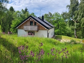 Nov� objekt: Chata a wellness - jezero Lipno - Vy��� Brod 2C-451