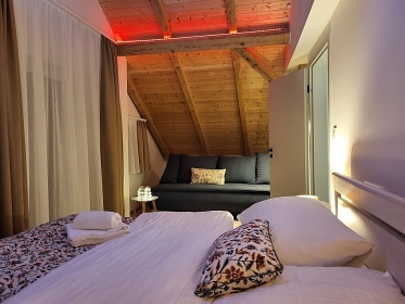 Chata a wellness - jezero Lipno - Vy��� Brod