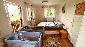 Chalupa wellness a bazén - Pyšely - Sázava