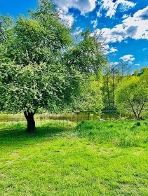 Glamping Krušné hory - Ostrov - Karlovy Vary