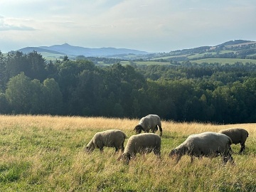 Glamping s mini ZOO - Ještěd - Rychnov u Jablonce n. N.