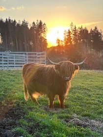 Glamping s mini ZOO - Ještěd - Rychnov u Jablonce n. N.
