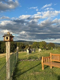 Glamping s mini ZOO - Ještěd - Rychnov u Jablonce n. N.