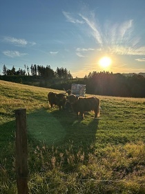 Glamping s mini ZOO - Ještěd - Rychnov u Jablonce n. N.