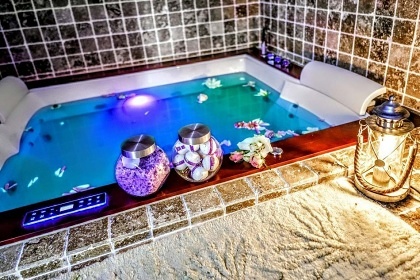 Chalupa bio bazn a wellness - Brdy - Blatn