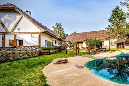 Chalupa bio bazn a wellness - Brdy - Blatn