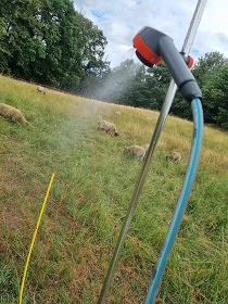 Glamping Jurta hnd - Toulava - Monnec